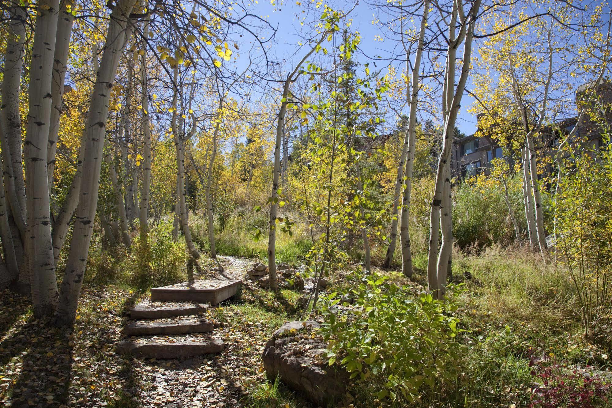 Terracehouse - Coraltree Residence Collection Snowmass Village Eksteriør bilde